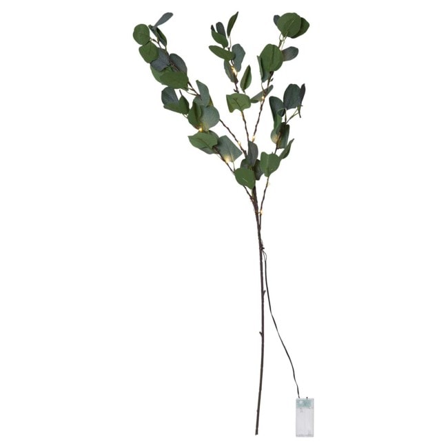 Dekorationskvist med eucalyptusblad 15 LED