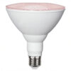 LED-lampa E27 PAR38 Plant Light