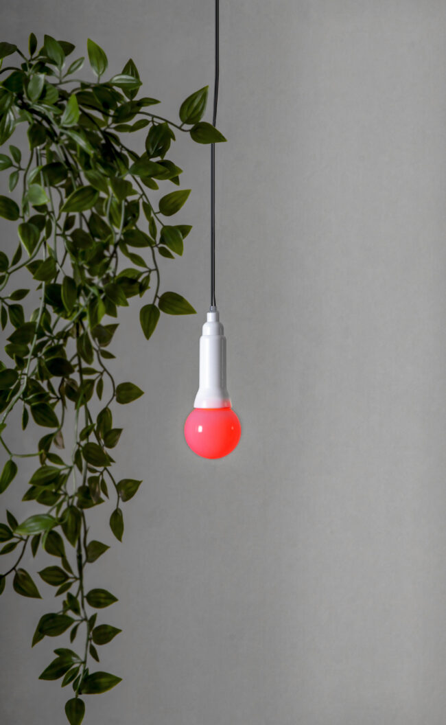 Ljusslinga Lighty - Bild 16