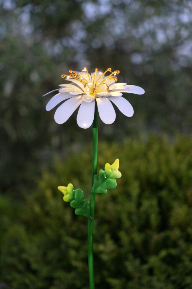 Solcellsdekoration Daisy - Bild 6