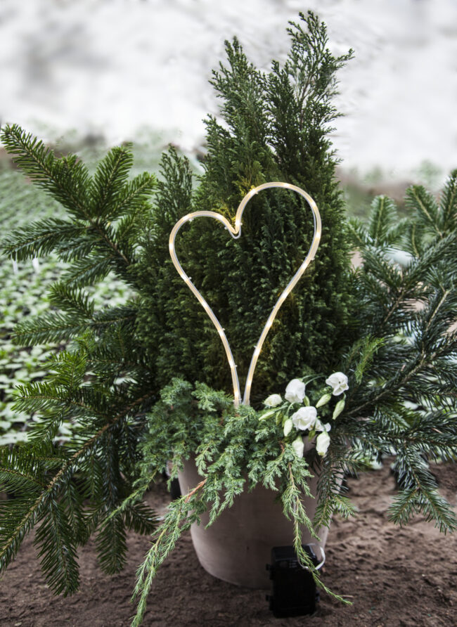 LED Gravljus Decorationheart - Bild 6