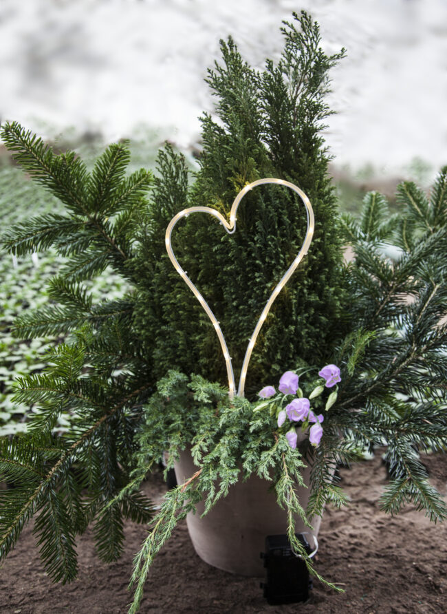 LED Gravljus Decorationheart - Bild 8